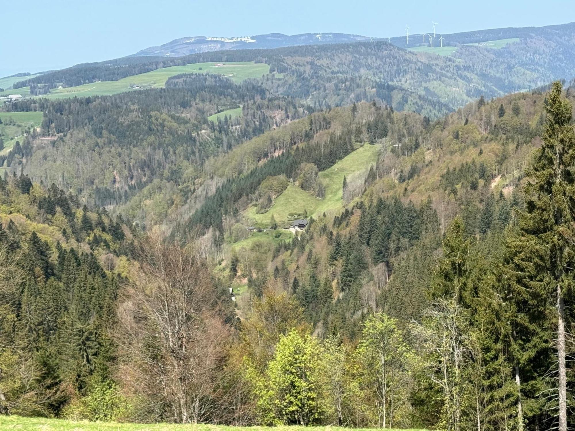 Bergoase-Apart Am Feldberg Apartment Feldberg  Exterior photo