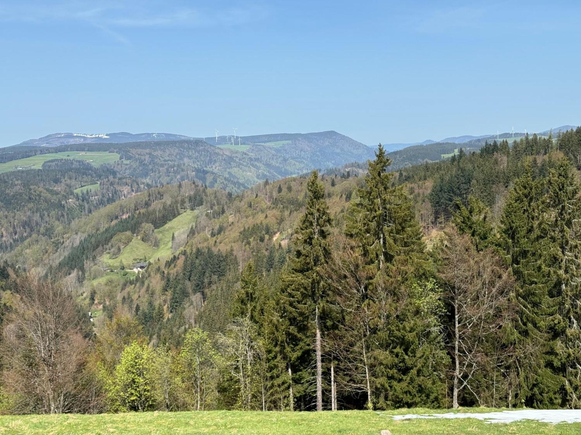 Bergoase-Apart Am Feldberg Apartment Feldberg  Exterior photo